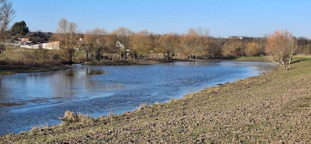 Panoramaliege am Büffelweiher - Image 2