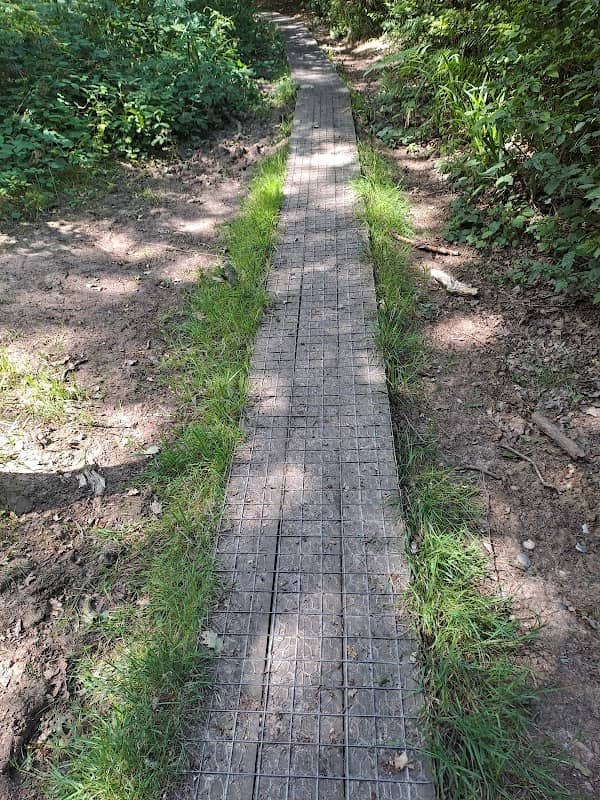 Home Wood - Image 1