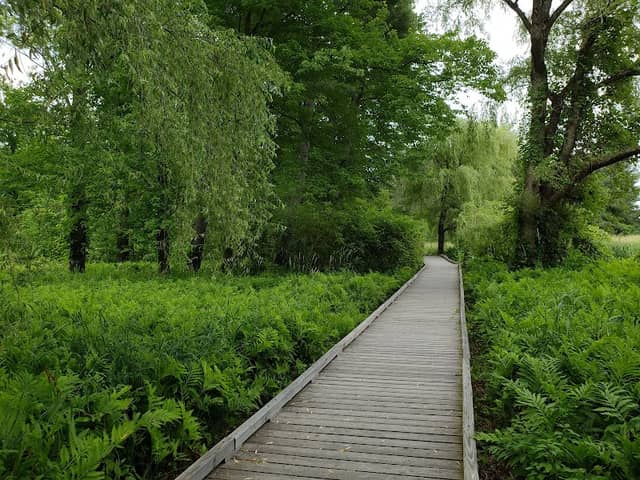 Doyle Conservation Area - Image 2