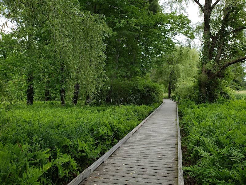 Doyle Conservation Area - Image 2