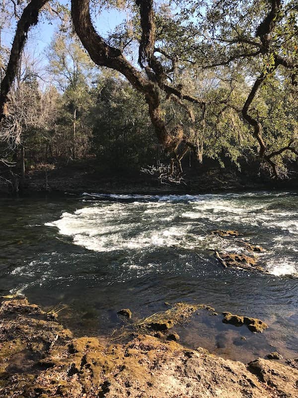 Look and Tremble Rapids - Image 1