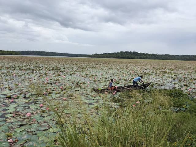 Lotus point, Palappooru - Image 1