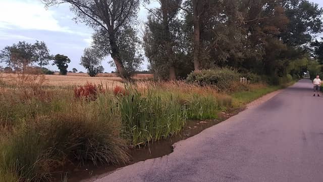 Mendlesham Green Pond - Image 2