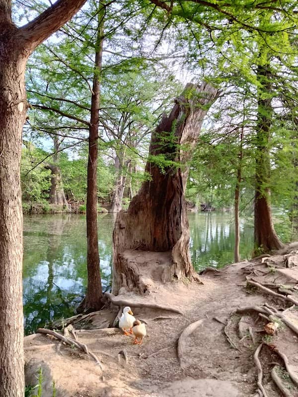 Bandera City Park - Image 2
