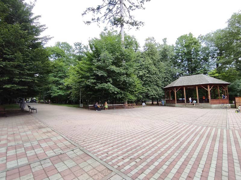Foișor din lemn - Image 2