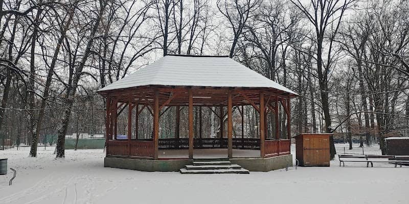 Foișor din lemn - Image 1