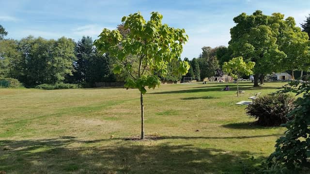 Avondale Park - Image 3