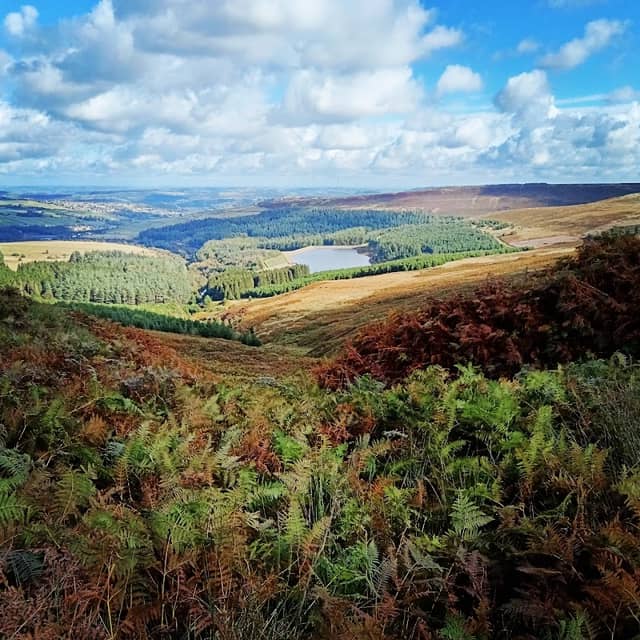 Holme Moss Summit - Image 1