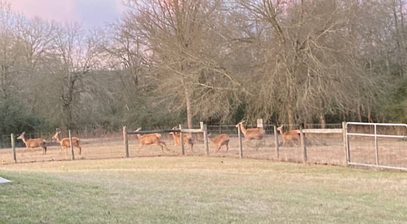 MMM Ranch - Image 1