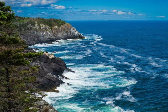 Gull Rock - Image 2
