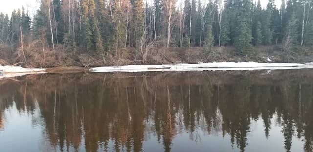 Snedden Memorial Park - Image 3