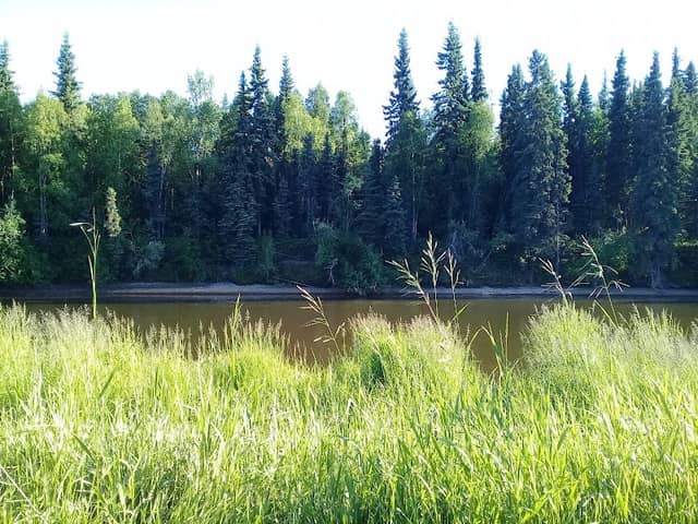Snedden Memorial Park - Image 2