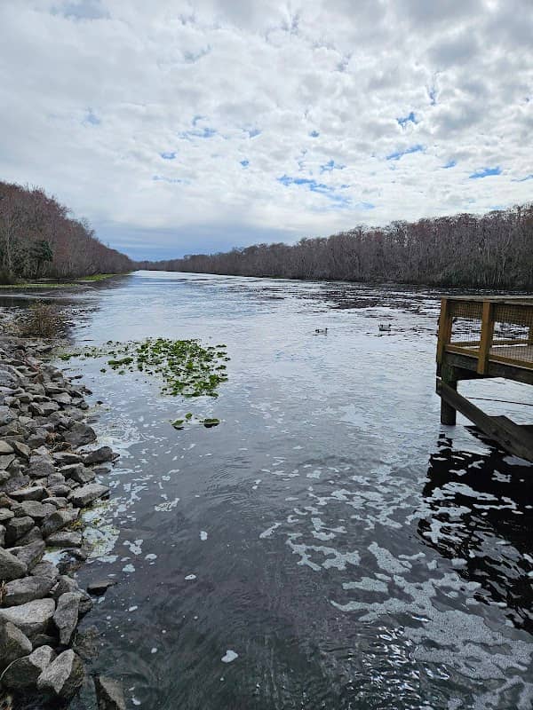Buckman lock - Image 2
