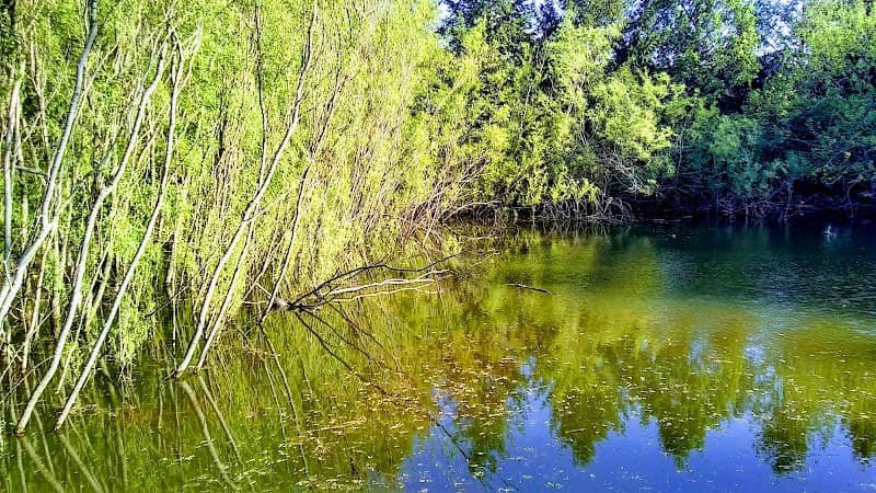 Fransen Nature Area - Image 1