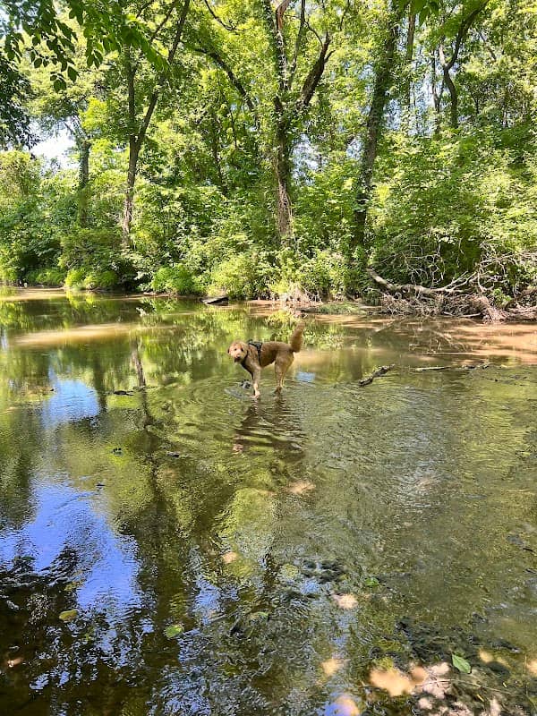 Prairie Creek Greenway - Image 1