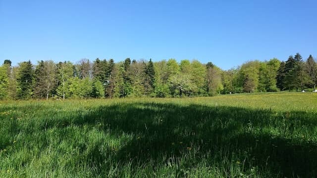 Naturschutzreservat Riedgraben - Image 1