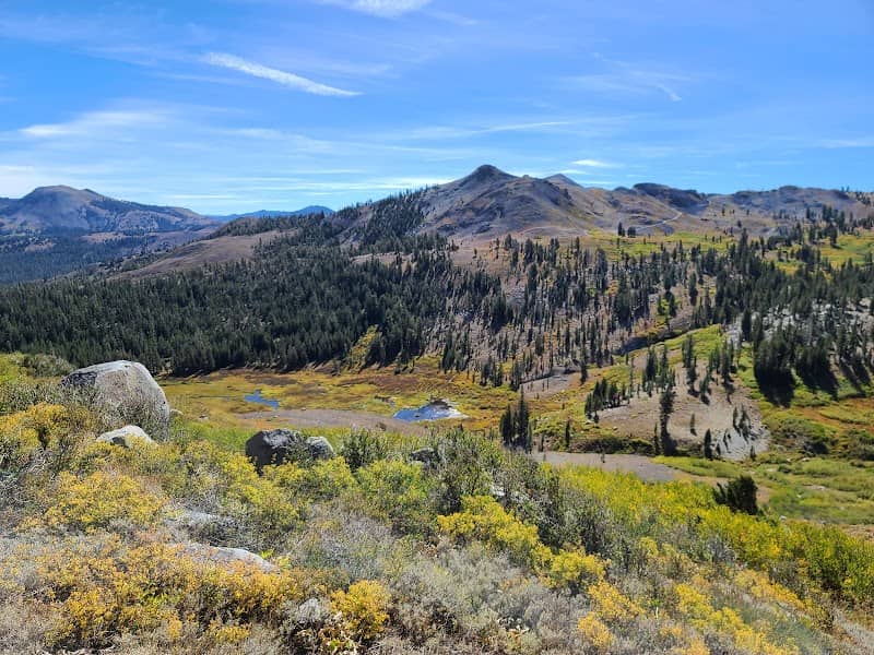Mokelumne Wilderness Area - Image 1