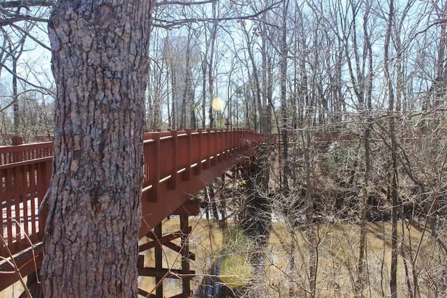 Tunica-Biloxi Nature Trailhead - Image 1