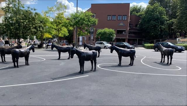 Donkey Statues - Image 1