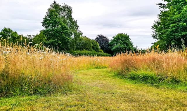 Edgmond Wildlife Group - Image 2
