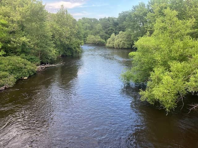 Charles River Greenway Access - Image 2
