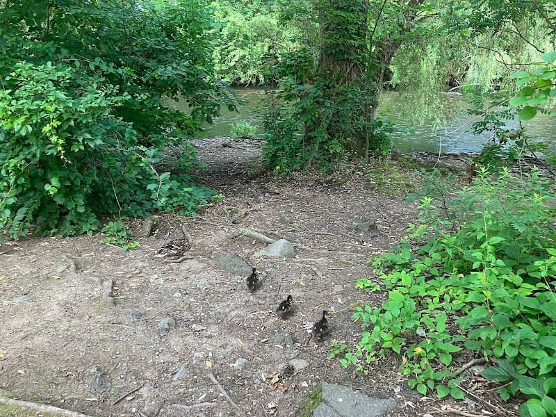 Charles River Greenway Access - Image 1