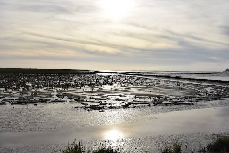 Northern Frisia Dikes - Image 1