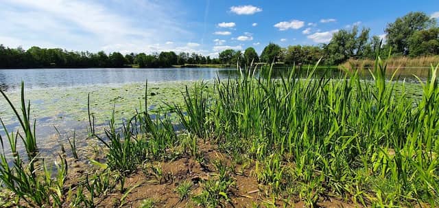 Waldpark Am See - Image 2