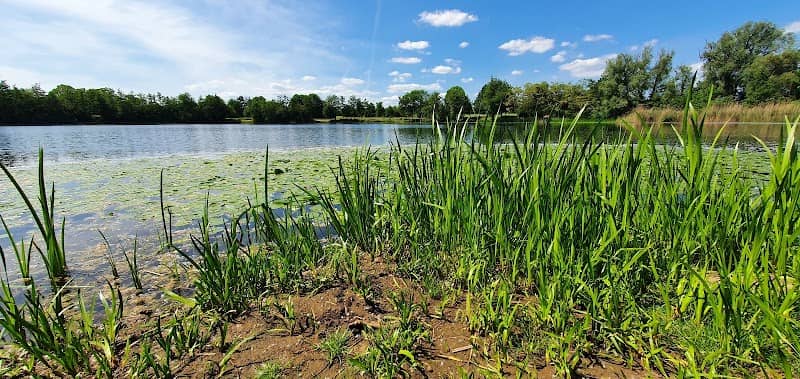 Waldpark Am See - Image 2
