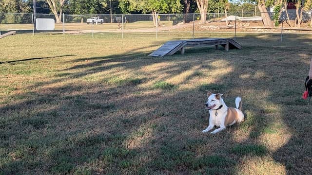 Ashland Dog Park - Image 2
