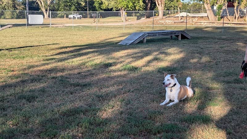 Ashland Dog Park - Image 2