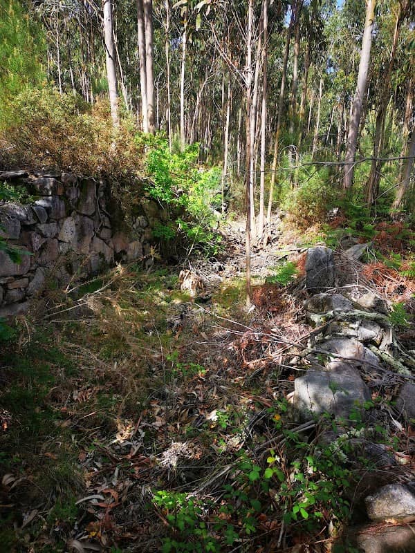 Chão Redondo (estrada romana) - Image 1