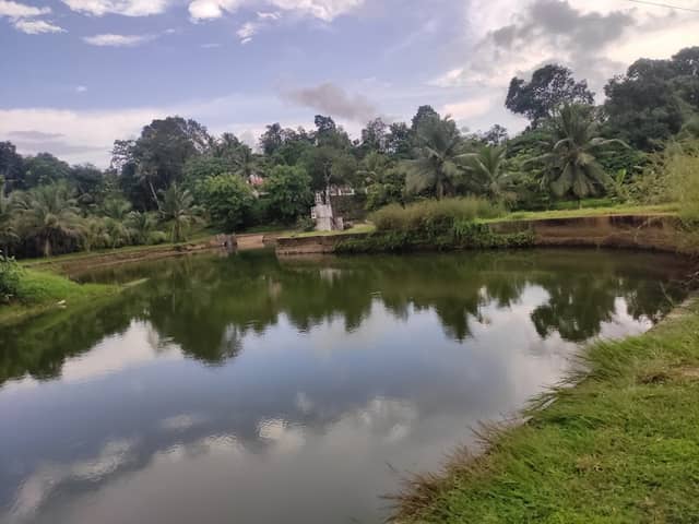 Ooranattu chira, Piravom - Image 2