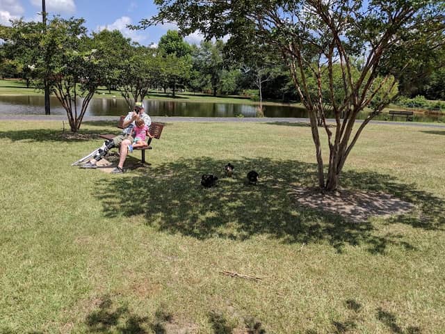 Lake City Community Park - Image 2