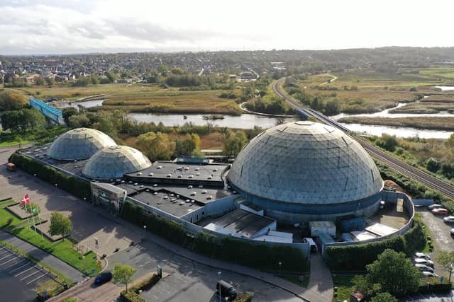 Randers Regnskov - Image 3