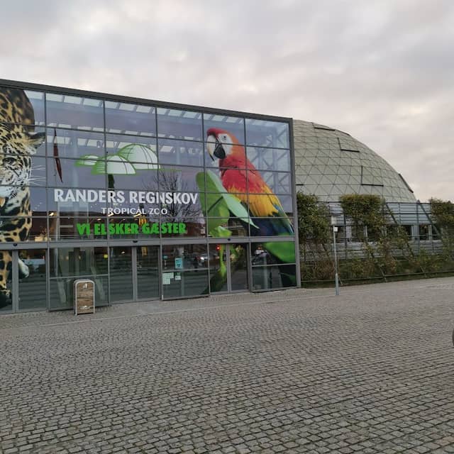 Randers Regnskov - Image 1