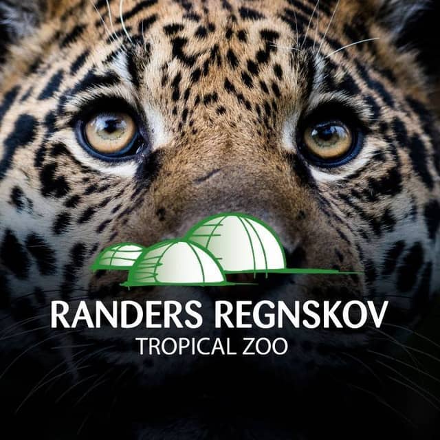 Randers Regnskov - Image 2