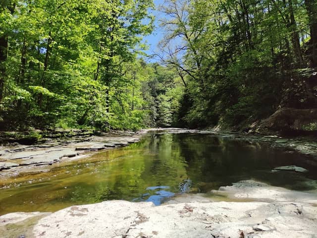 Six Mile Creek Park - Image 2
