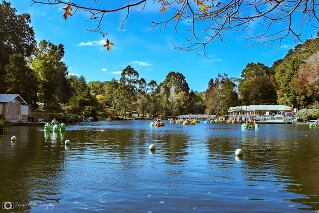 Emerald Lake Park - Image 1
