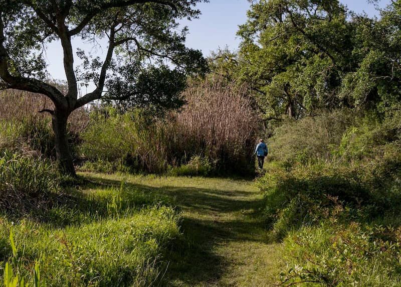 Lafitte Woods Nature Preserve Grilletta Tract - Image 2