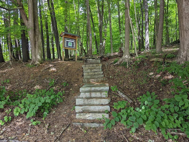 The Boulders Reserve - Dalton Ave Trailhead - Image 3