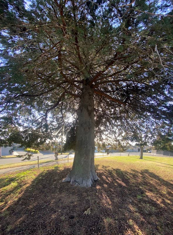 Halifax Reserve - Image 2