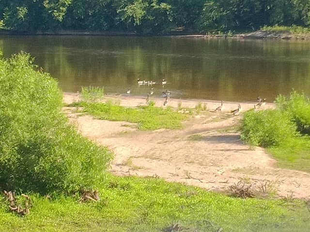 Riverside Park - Image 2