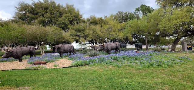 Chisholm Trail Park - Image 1