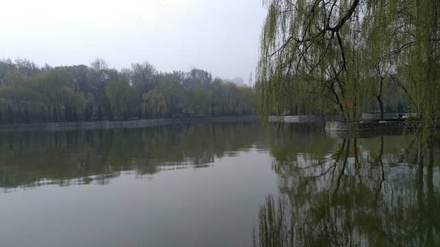 People's Park - Image 1