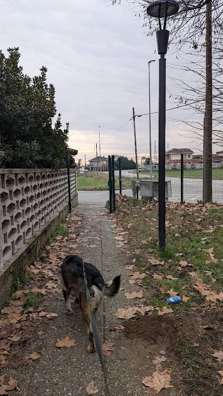 Area per cani - Image 1