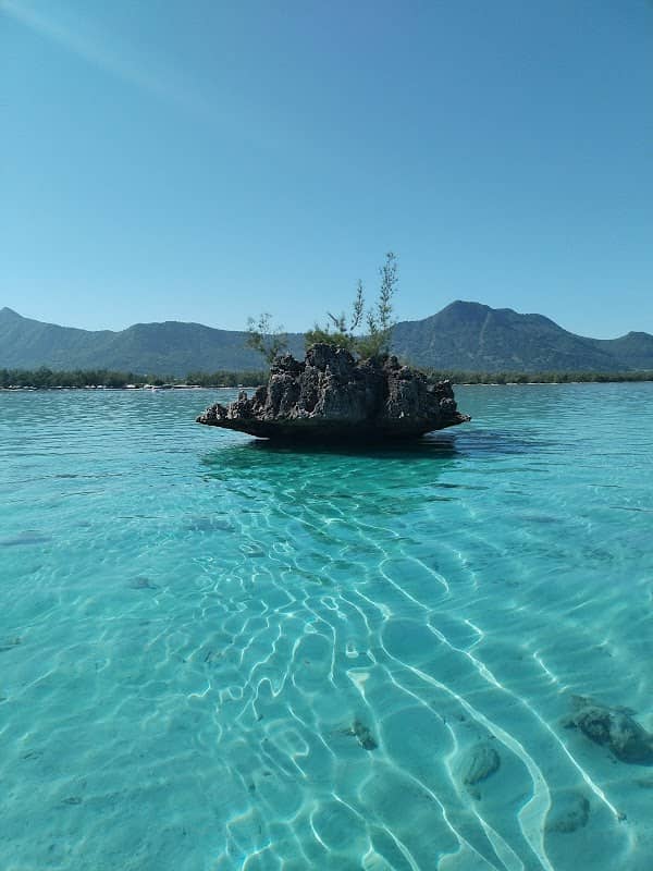 Speed Boat - Image 1