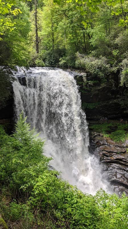Nantahala National Forest - Image 2