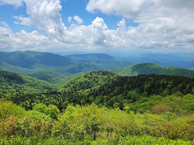 Nantahala National Forest - Image 1