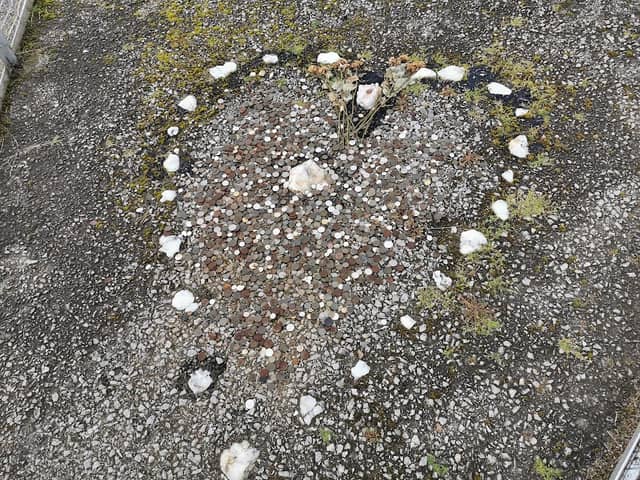 The Tinkers Heart - Image 2